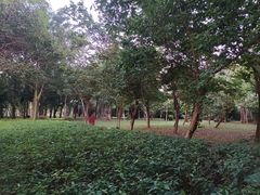 -白沙门生态公园