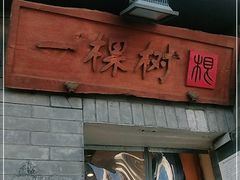 -一棵树(雨儿胡同)