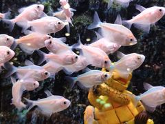 -龟与熊猫宠物公园(南坪店)