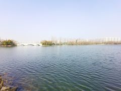 -洋湖国家湿地公园