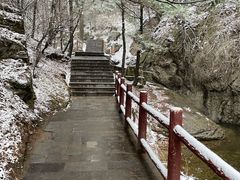 -王顺山国家森林公园