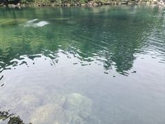 -石台牯牛降景区