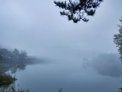 -庐山风景区花径公园