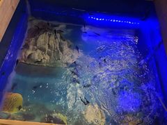 -悠然湯·汗蒸汤泉会馆