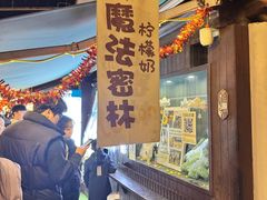-猫的魔法密林(衣裳街店)