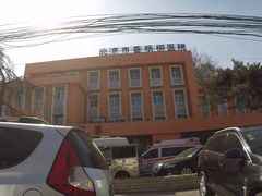 -北京市垂杨柳医院