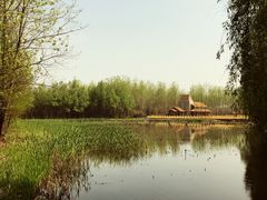 -溱湖国家湿地公园