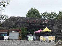 -合肥野生动物园