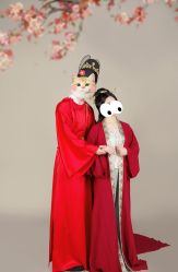 -盘子女人坊生日照·摄影馆(浦东店)