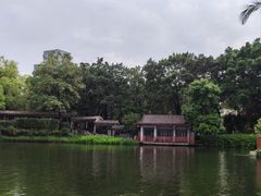 -荔湾湖公园