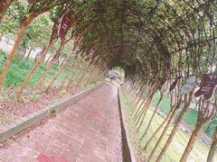 -武汉紫薇都市田园