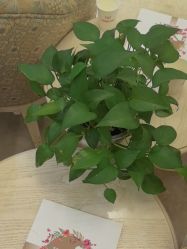 -北京俪婴妇产医院(朝阳大悦城店)