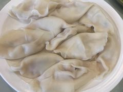 -东方饺子王臻味餐厅(新嘉坡城店)