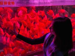 -左海海底世界