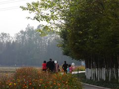 -桤木河湿地公园