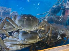 -龙兴食府(锦绣家园店)