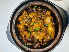 猪蹄儿-黑鸡小馆(金源店)