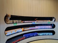 -涨巢·潮玩水疗局