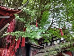 -青城山