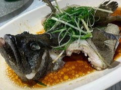 清蒸石斑-强记海鲜·大排档(蛇口新街店)