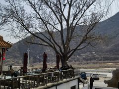 -百花人家(清水镇店)