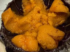 -桂马·日本料理·海胆·海鲜饭·酒场(民主广场店)