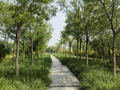 -天津东丽湖风景区