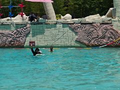 -太阳岛沙滩泳场水上乐园