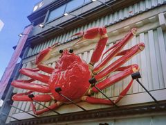 -蟹道乐(道顿堀本店)