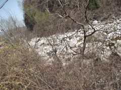 -陕西省红河谷森林公园