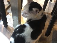 -广记海鲜(杨汊湖一店)