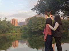 -晓港公园