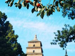 -大雁塔文化休闲景区-北广场