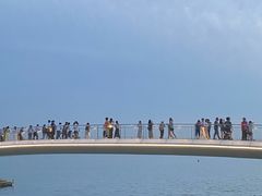 -金鸡湖景区
