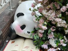 -轩客会(熊猫书店)