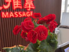 -楚氏正骨推拿按摩院(九水东路店)