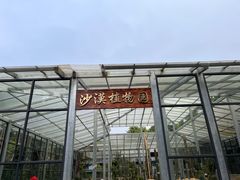 -广东茂名森林公园