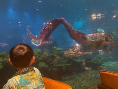 -涛·海底餐厅·美人鱼·自助餐·海底隧道(三亚海棠湾洲际度假酒店)