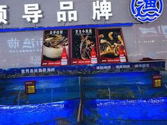 -驻海渔市(置信店)