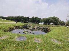-嘉北郊野公园
