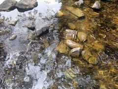 -静之湖度假区