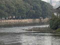 -温江公园