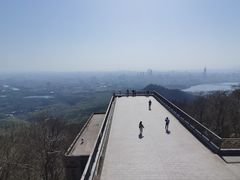 -紫金山山顶公园