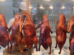 -顺城金记卤鸡·清真