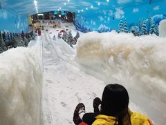 -世界之窗阿尔卑斯冰雪世界