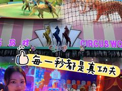 -上海马戏城