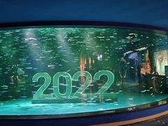 -上海海昌海洋公园