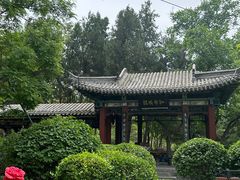-迎泽公园