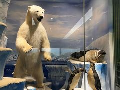 -国家自然博物馆