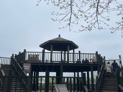 -南京市无想山景区